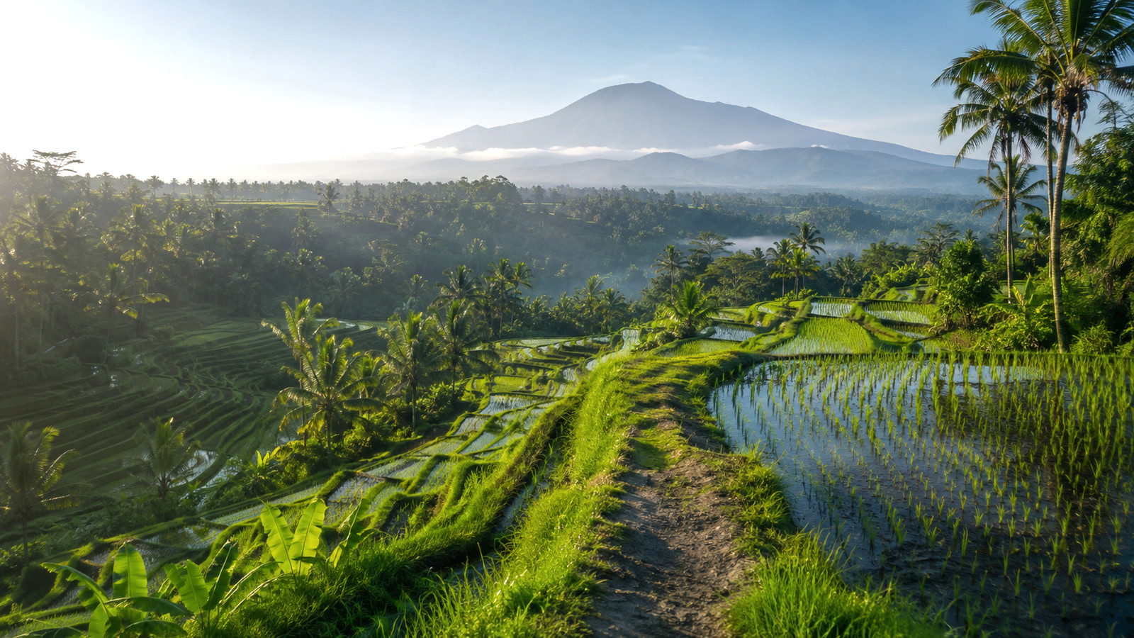 Illustrative central Bali rice terraces with tropical vegetation and a volcanic ridgeline