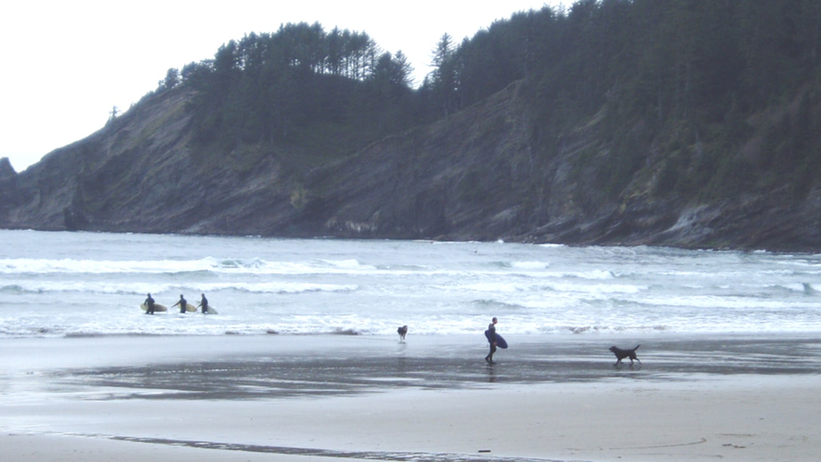 Short Sand Beach at Oswald West State Park, a ranked stop in this local guide