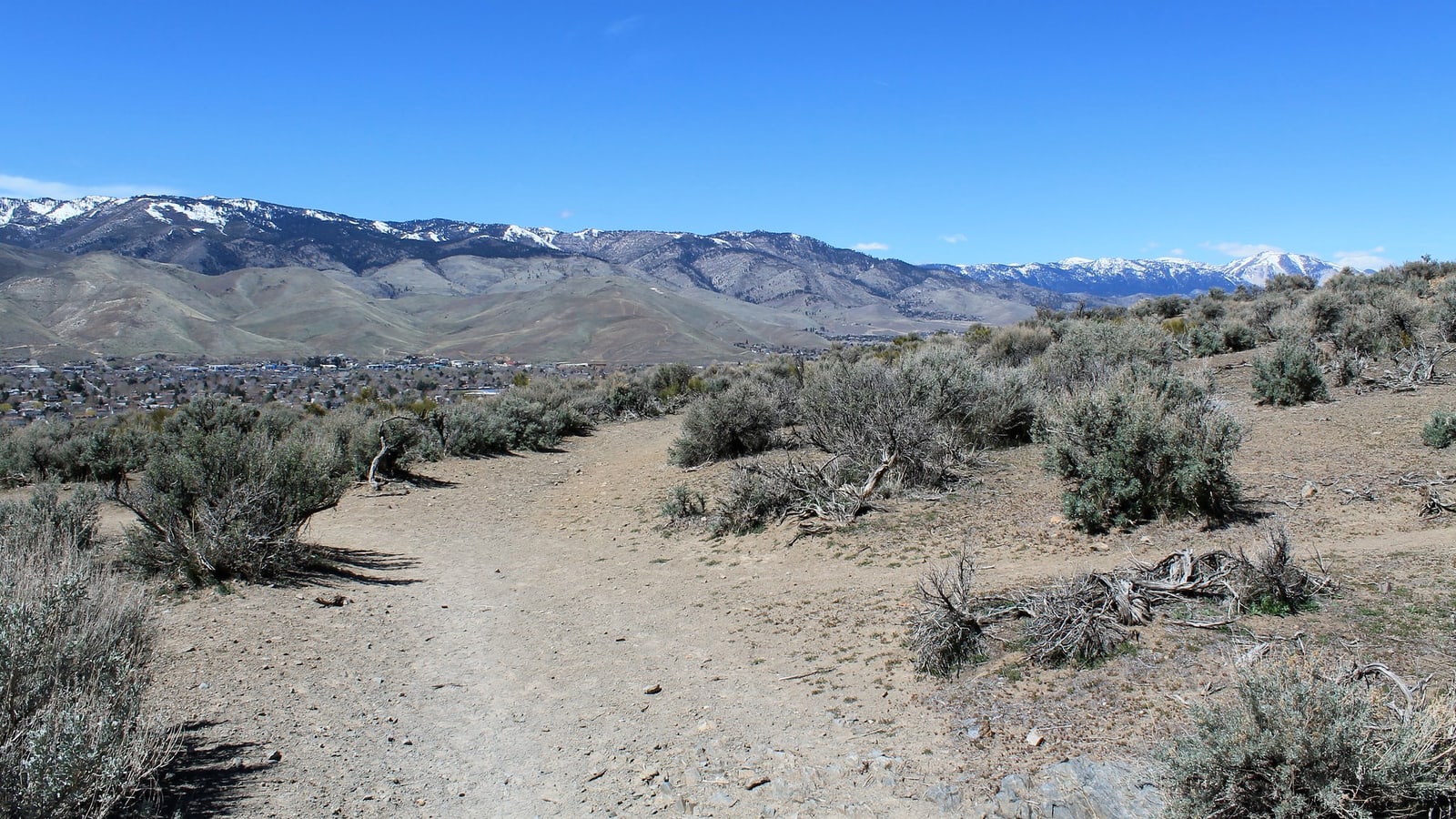High-desert landscape at Prison Hill Recreation Area in Carson City