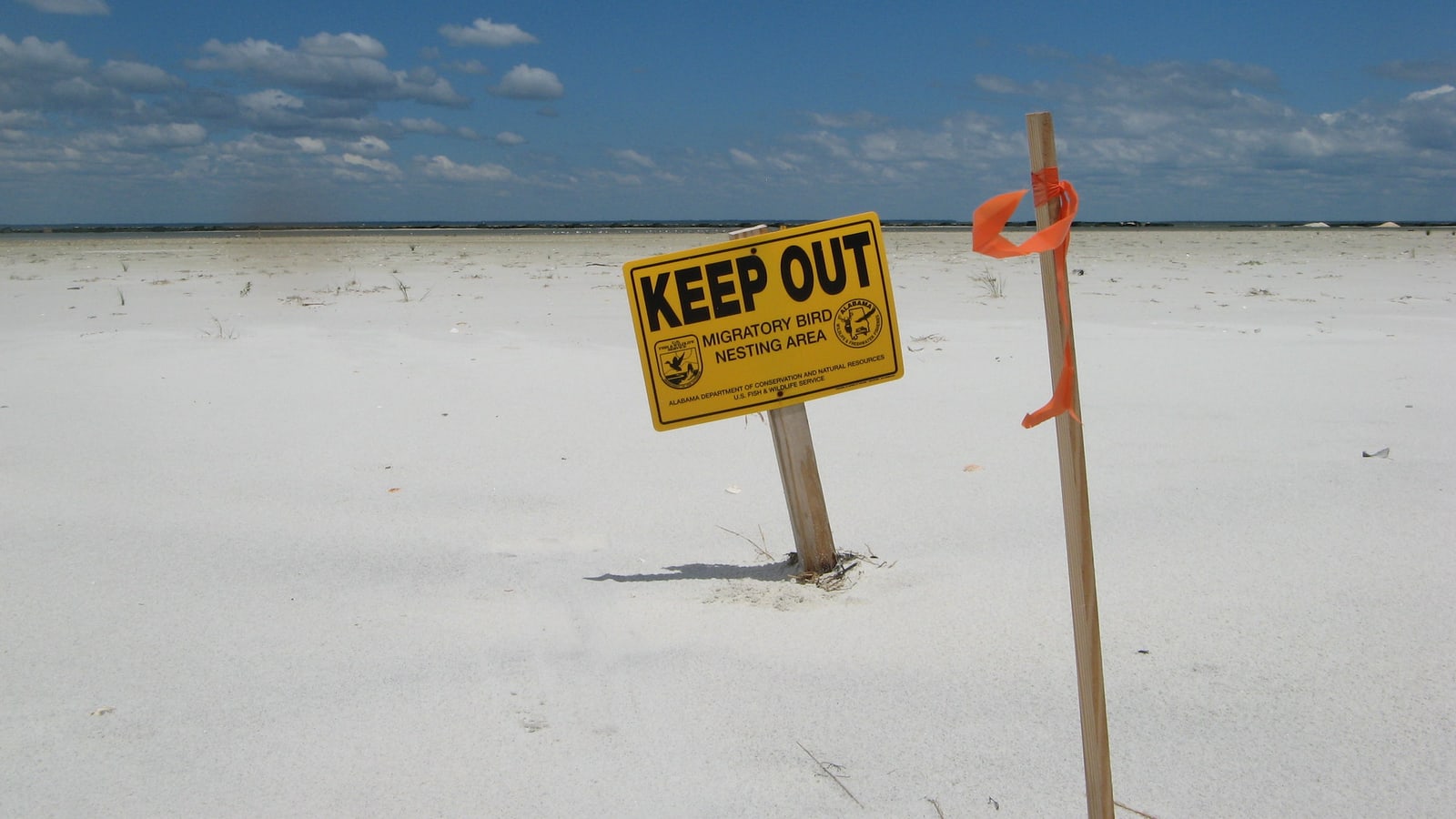 West End Beach Dauphin Island Alabama, a ranked stop in this Deep Arrival guide