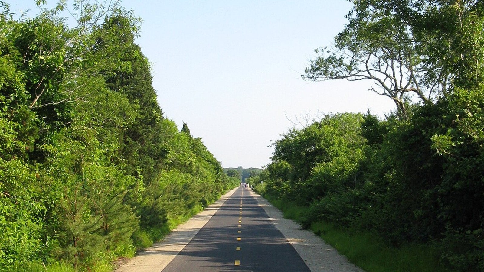 Shining Sea Bikeway beside the Falmouth coast