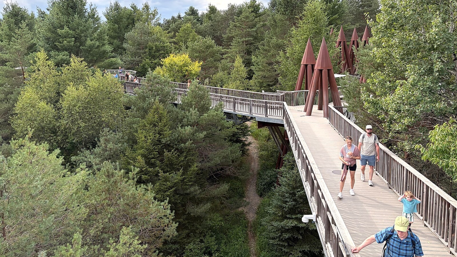 The Wild Center Wild Walk Tupper Lake near Lake Placid