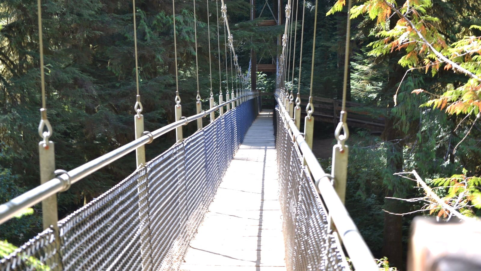 Suspension bridge on the Drift Creek Falls Trail