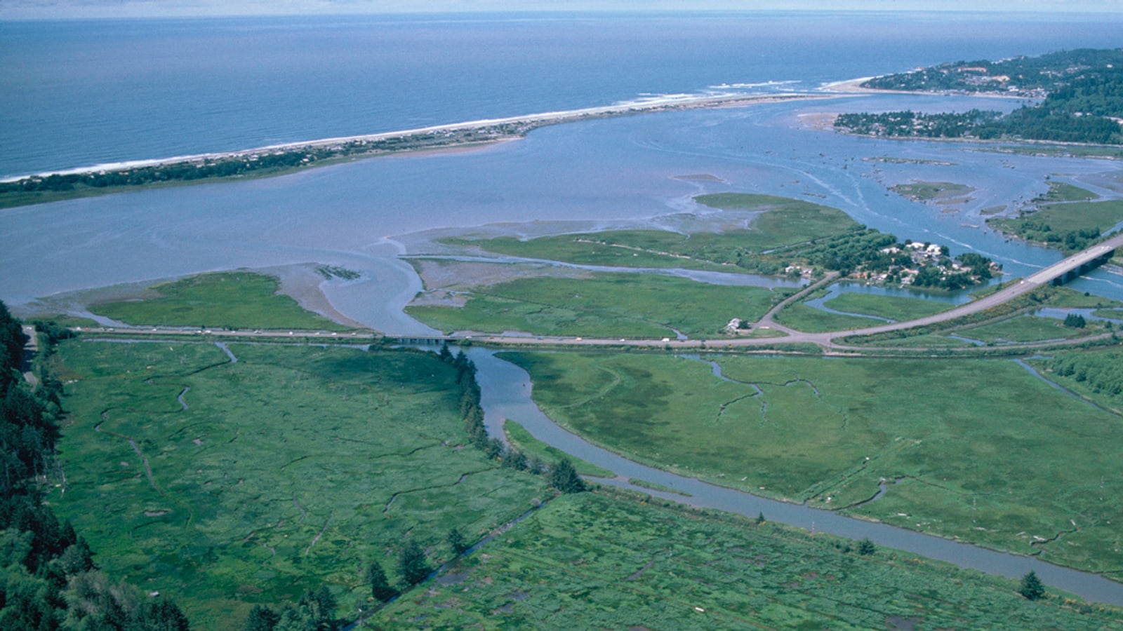 Tidal estuary and forest at Siletz Bay National Wildlife Refuge