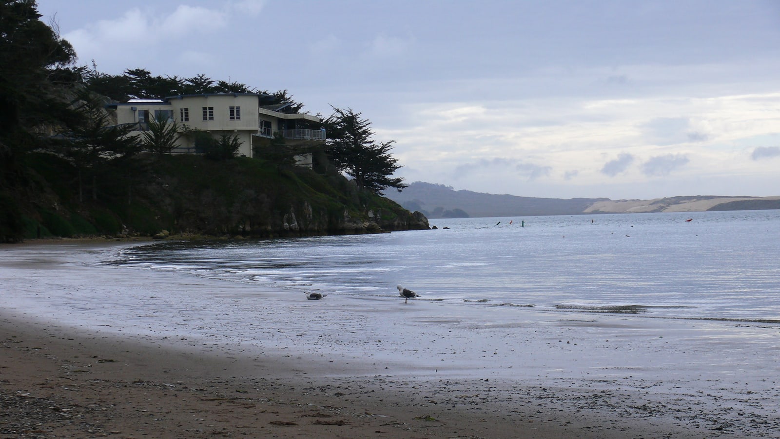 Museum of Natural History overlooking the Morro Bay estuary