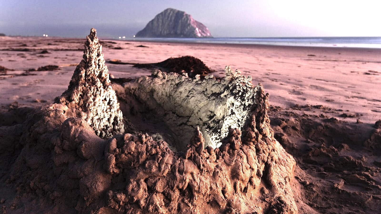Wide sand at Morro Strand State Beach with Morro Rock beyond