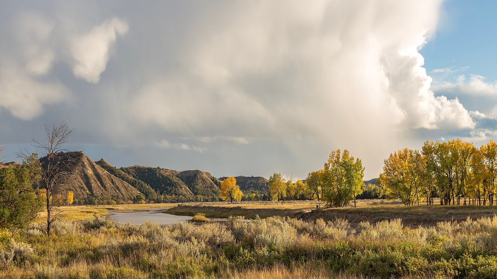 Layered badlands and prairie in western North Dakota