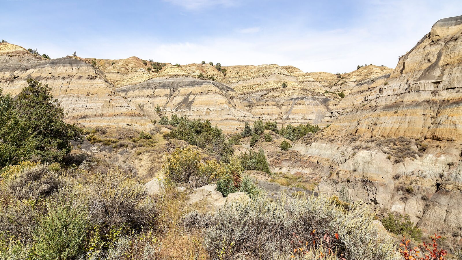Theodore Roosevelt National Park North Dakota badlands near North Dakota