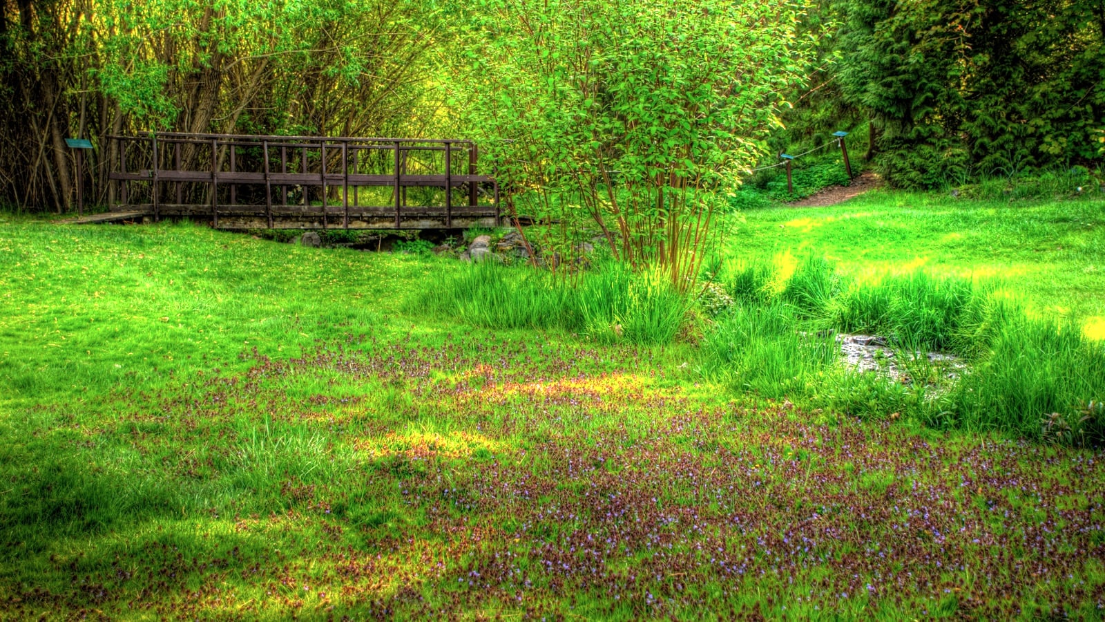 Garden Springs Creek and trees in John A. Finch Arboretum in Spokane Washington