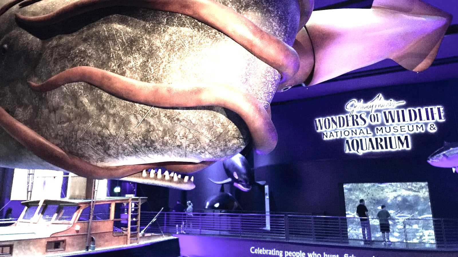Aquarium habitat at Wonders of Wildlife in Springfield