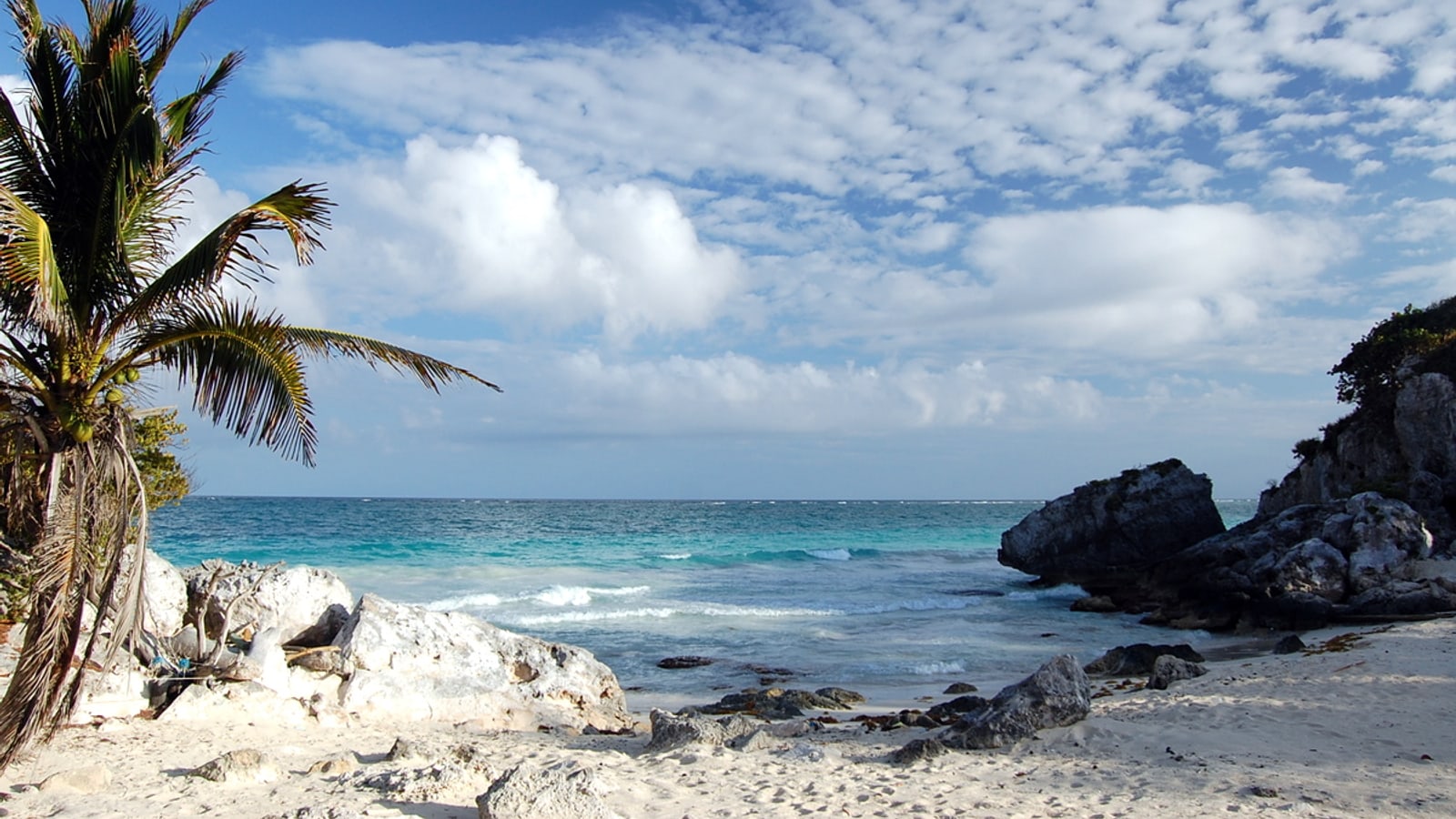 Protected Caribbean coast and palms in Parque Nacional Tulum Mexico