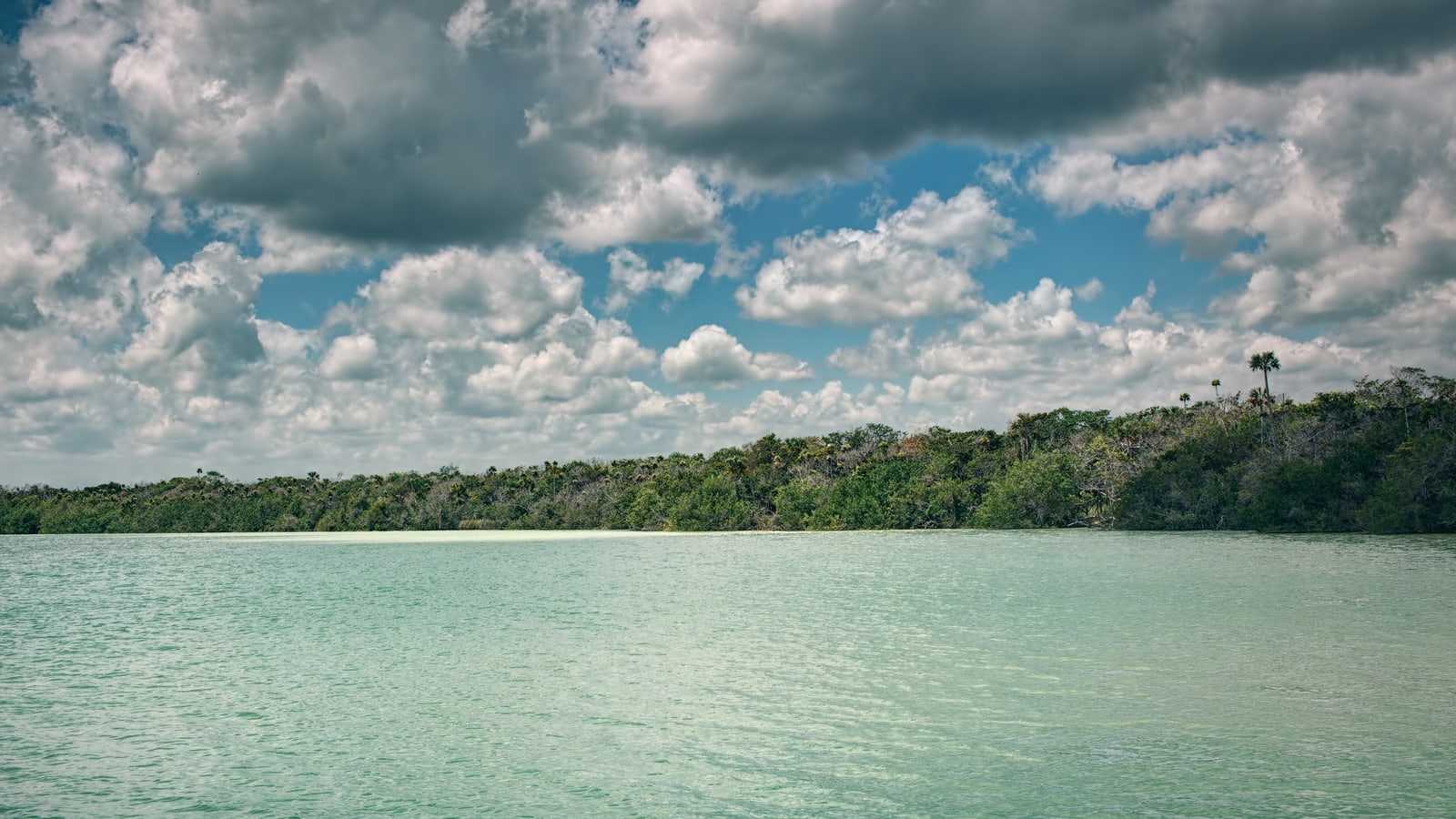Turquoise Kaan Luum Lagoon surrounded by jungle south of Tulum Mexico