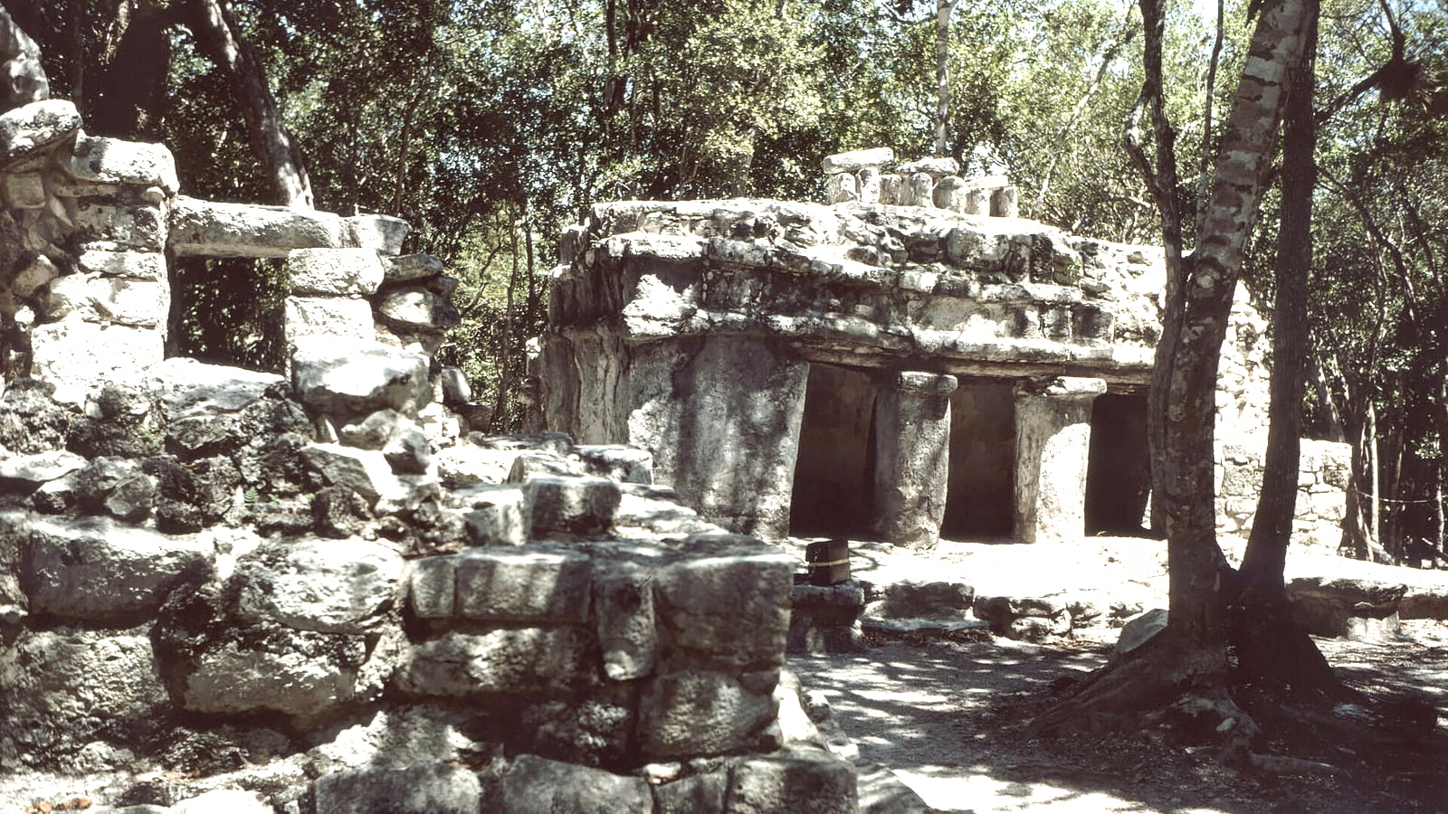 Maya structures and tropical vegetation at the Xel-Há archaeological zone near Tulum Mexico