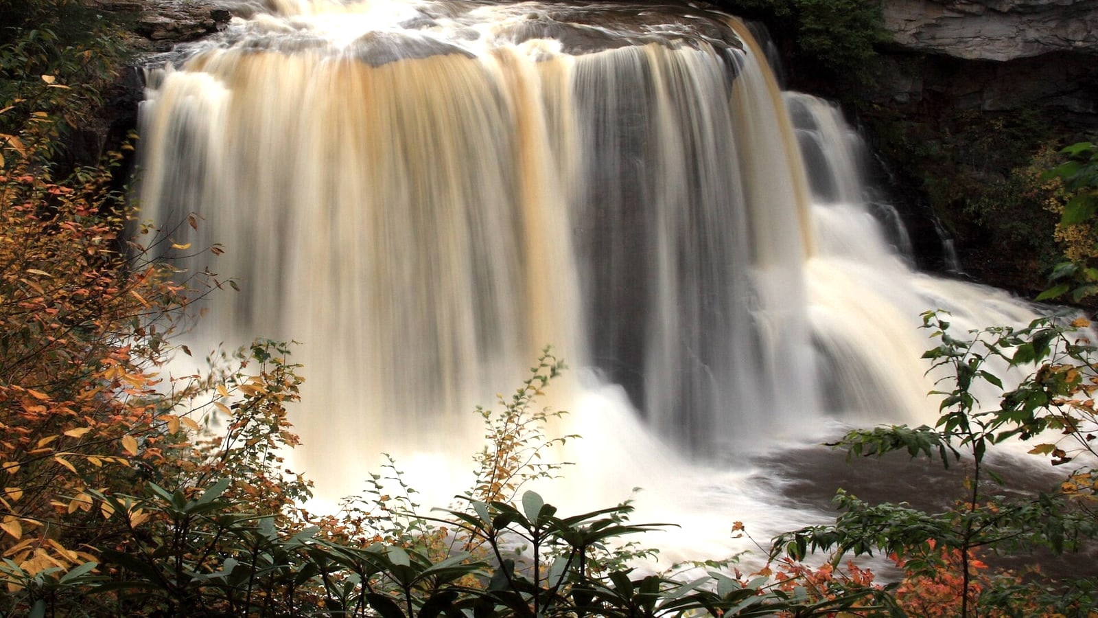 Blackwater Falls dropping through a wooded West Virginia gorge