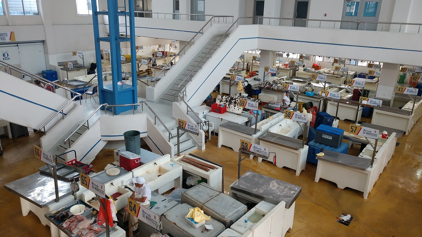 Inside Panama City seafood market