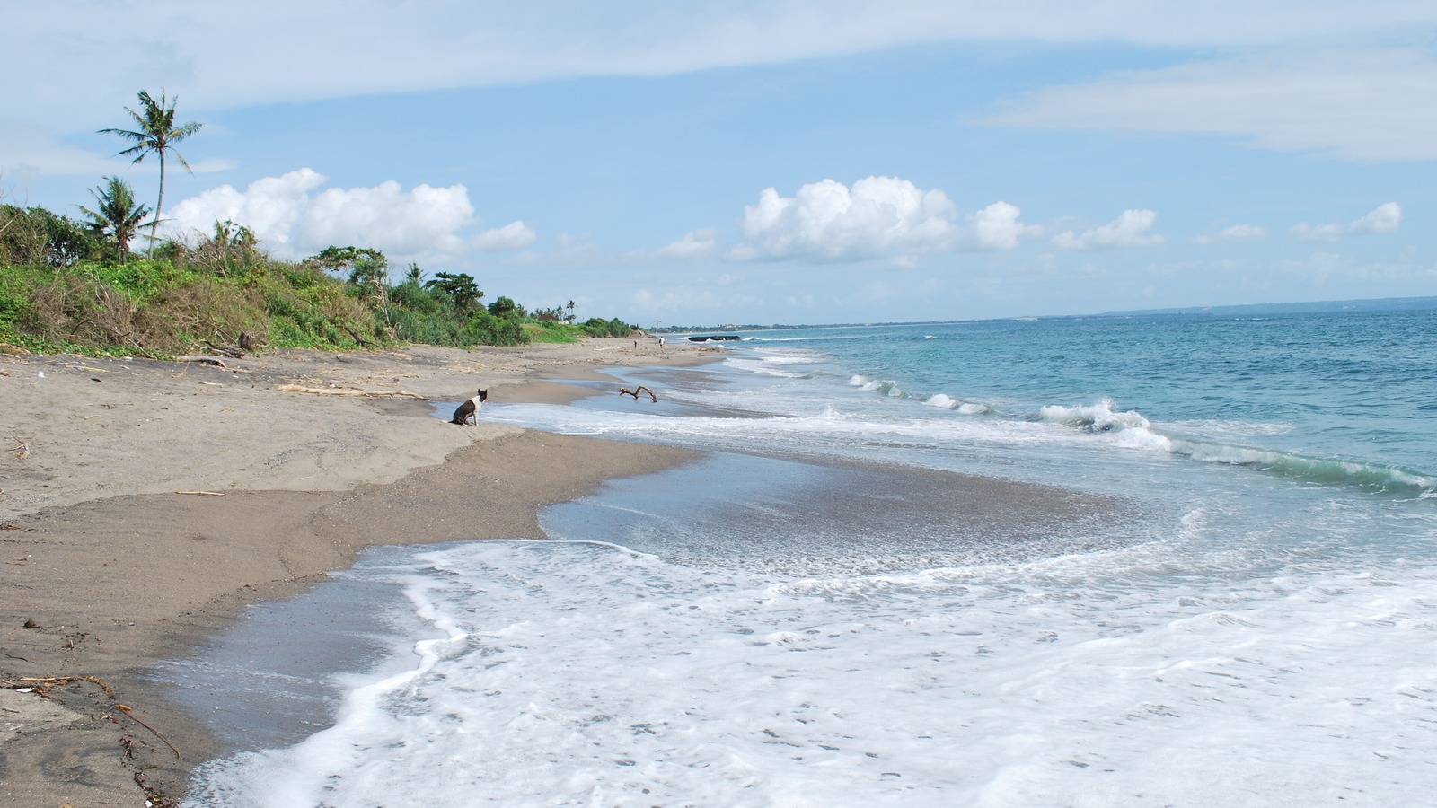 Bright surf beach scene in Canggu Bali