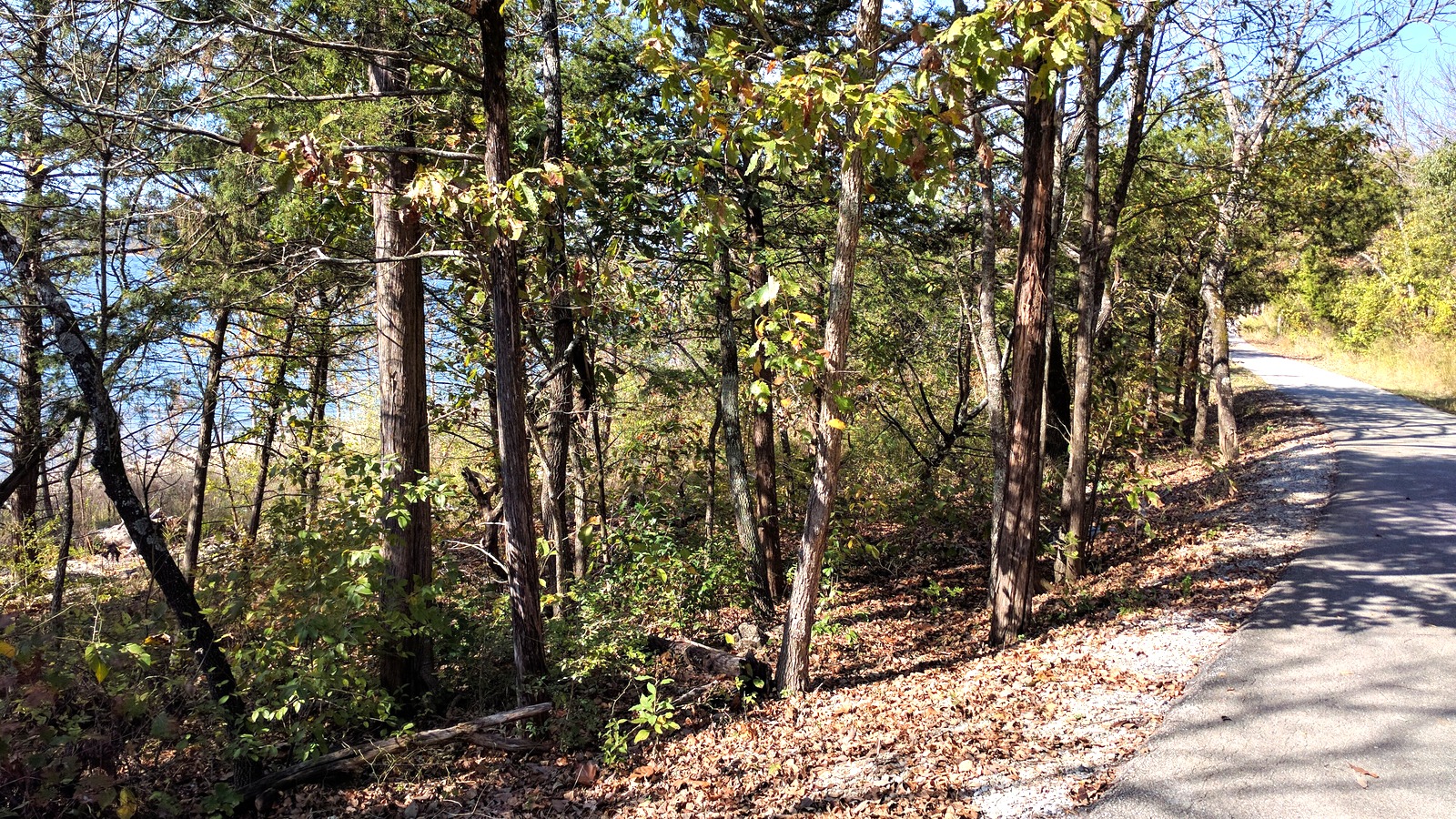 Sunny Ozarks golf and wooded resort landscape near Branson West