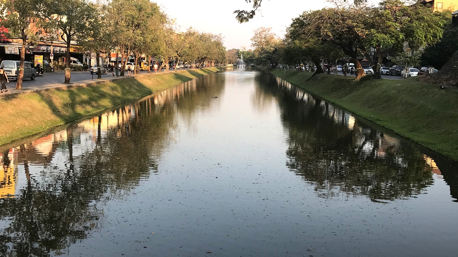 Old City moat and trees in Chiang Mai