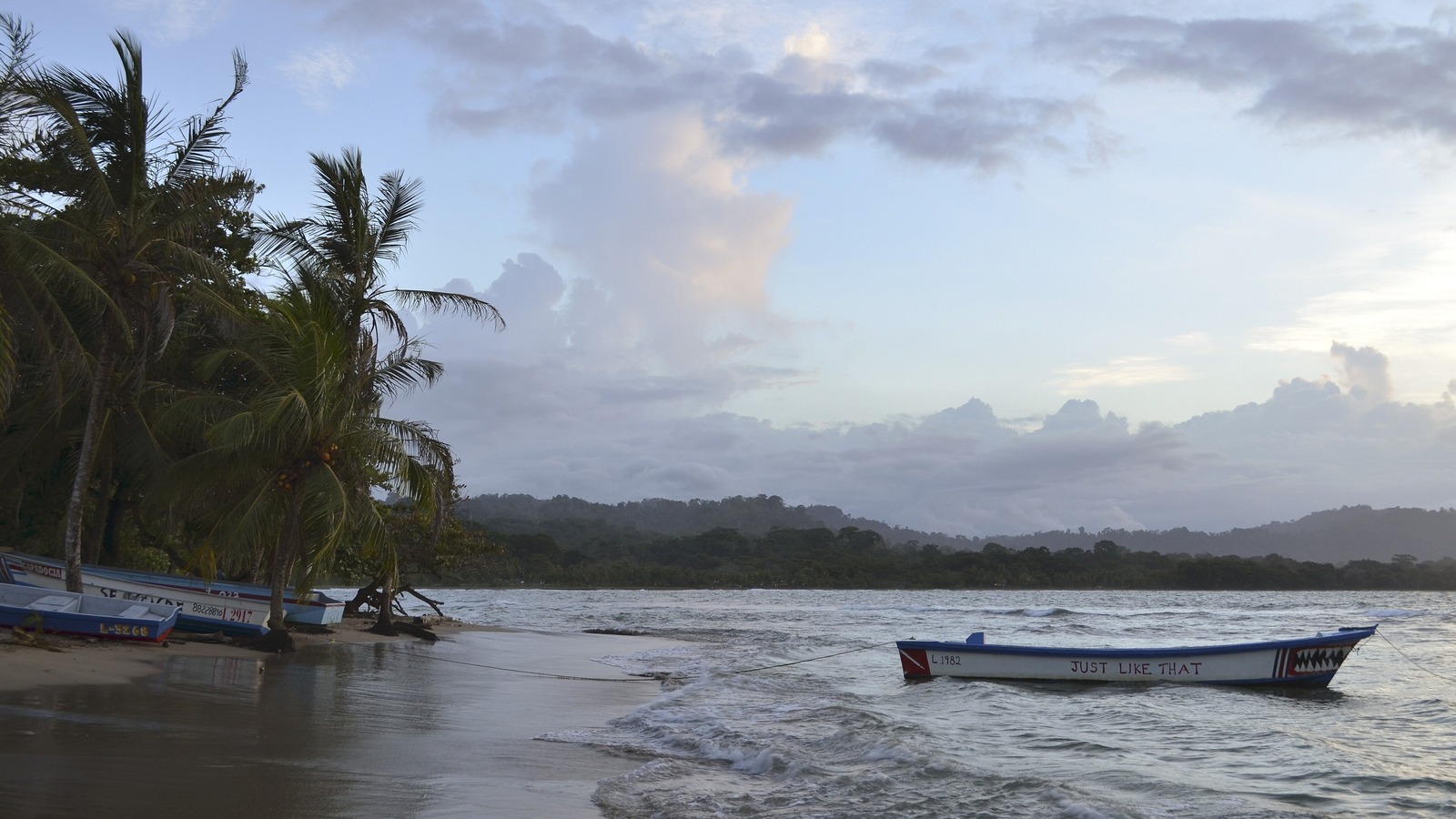 Bright Caribbean beach near Puerto Viejo