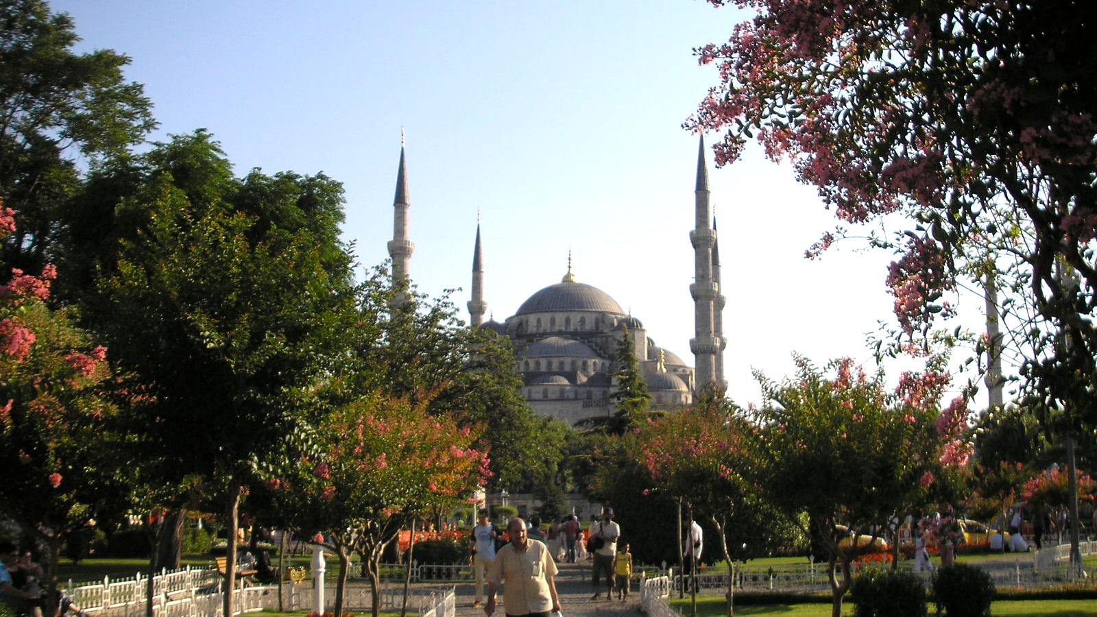 Sultanahmet skyline with the Blue Mosque in Istanbul