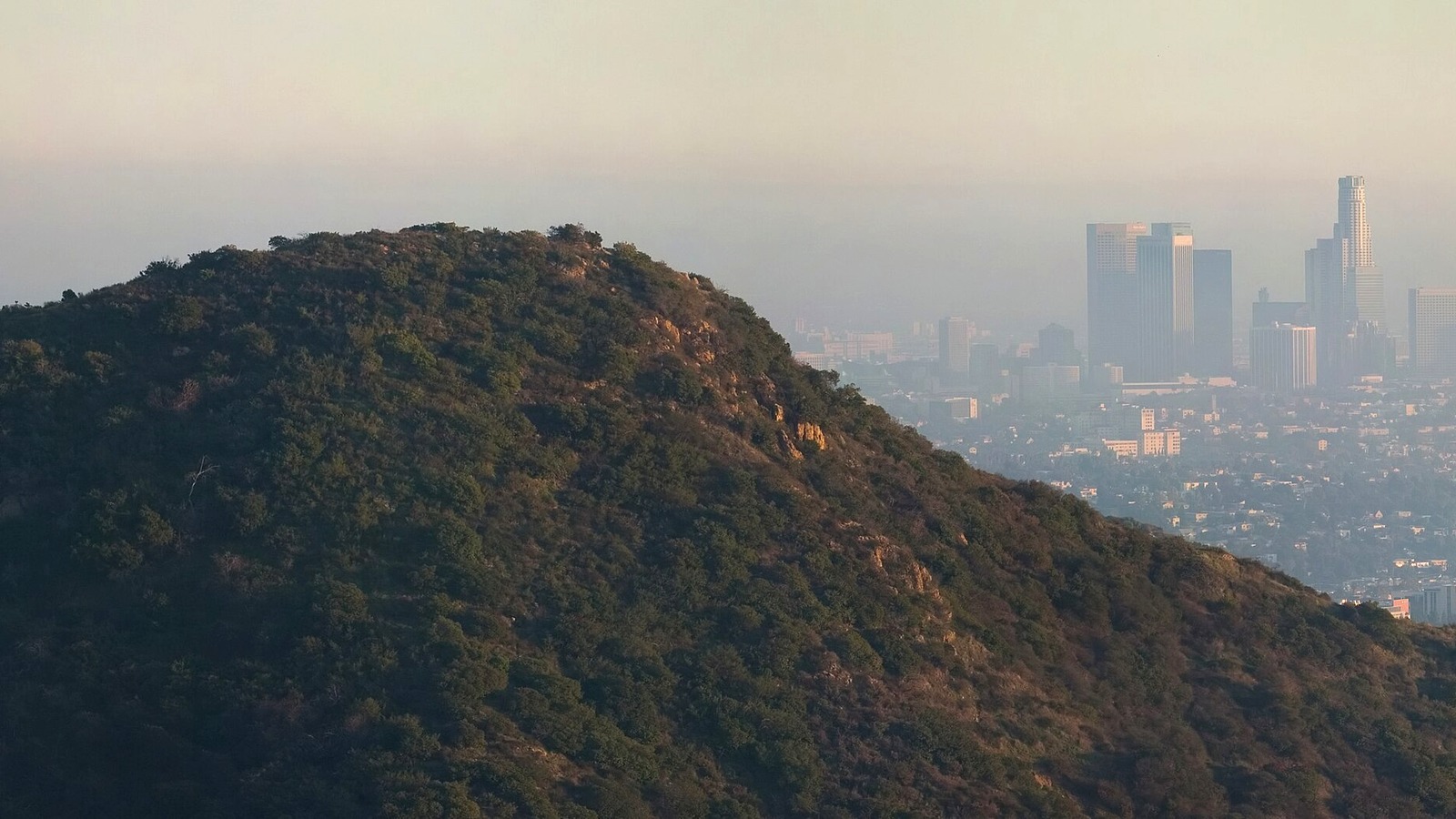 Bright city skyline view from Griffith Observatory