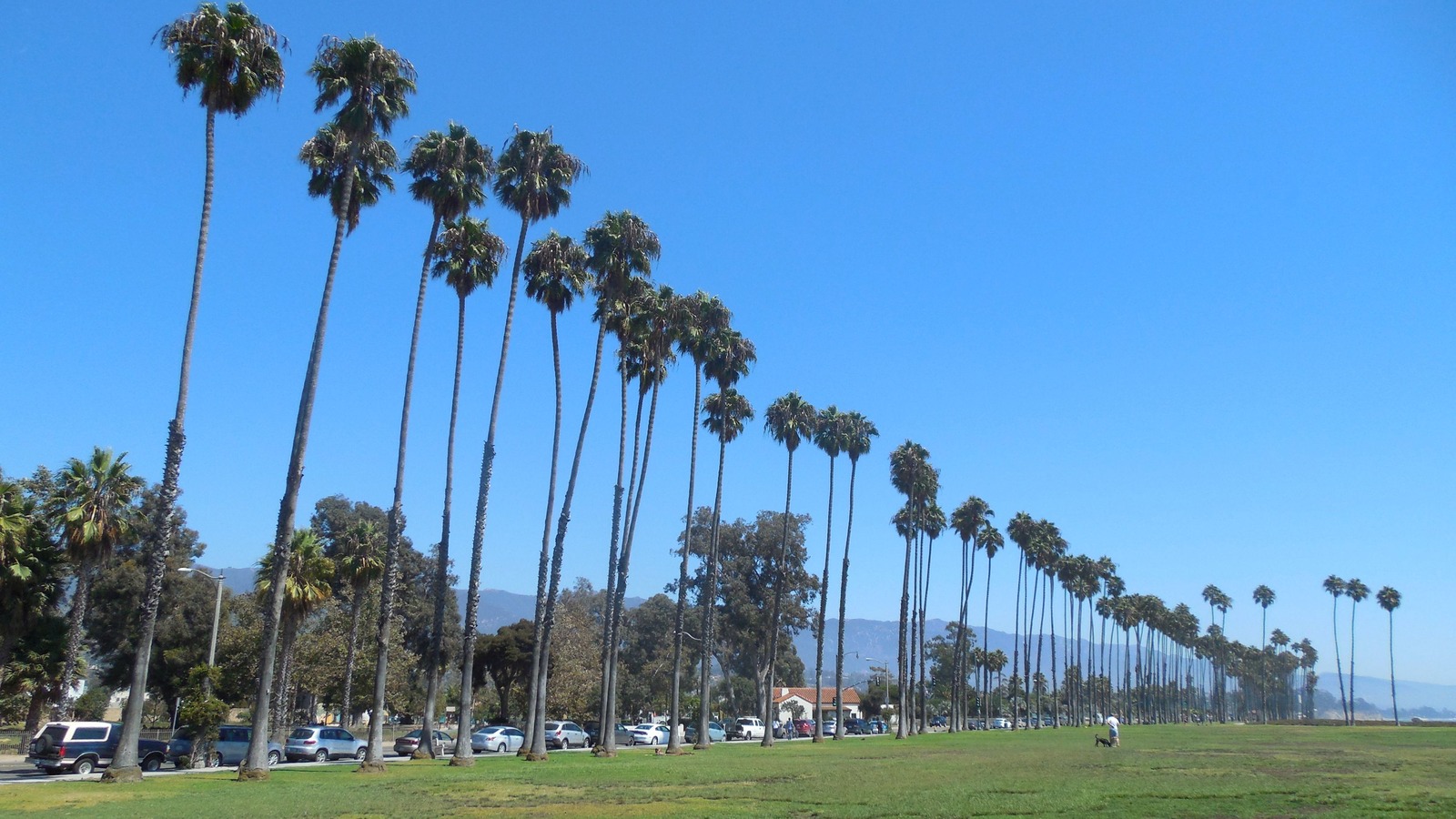 Sunny East Beach in Santa Barbara