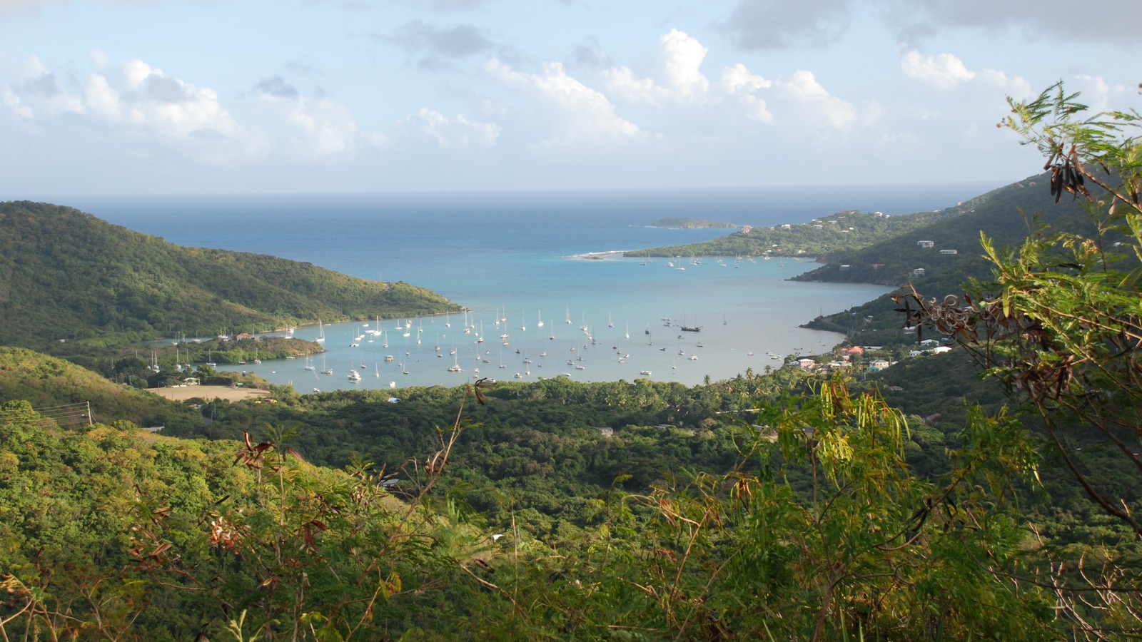 Coral Bay harbor from the green hills of eastern St. John USVI