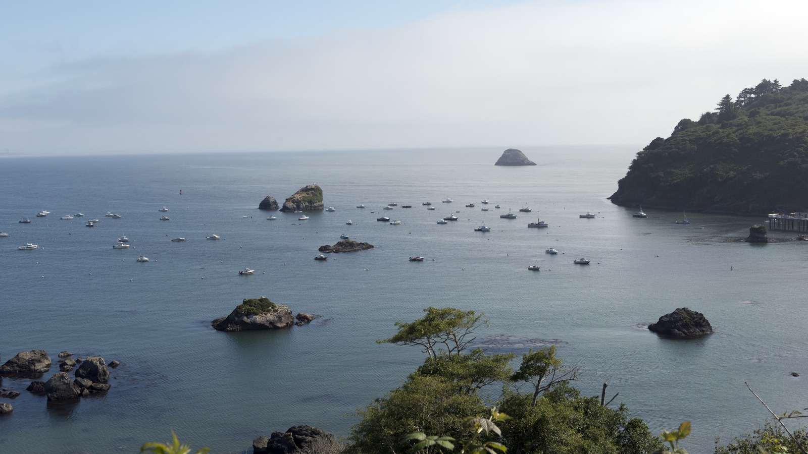 Bright Trinidad Bay and forested northern California coast