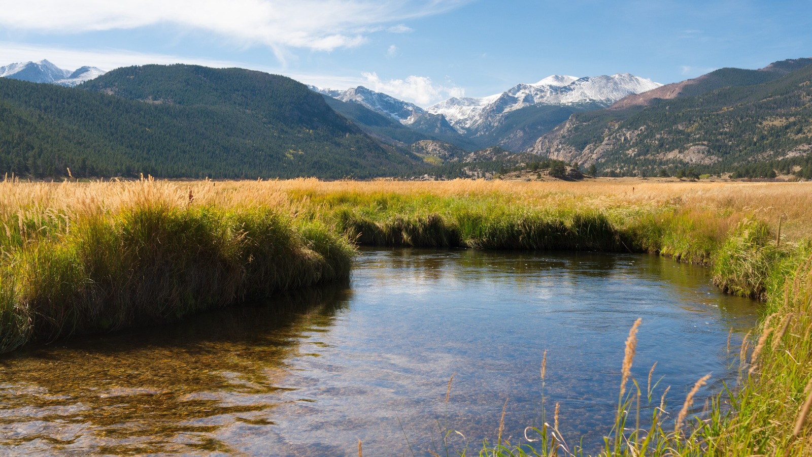 Sunny Moraine Park landscape in Rocky Mountain National Park near campground areas