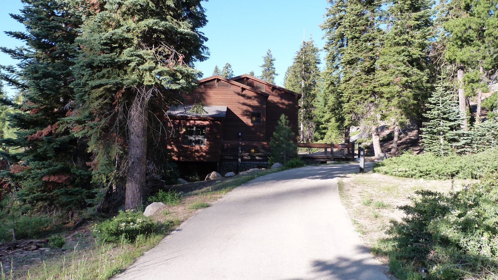 Bright view near Wuksachi Lodge in Sequoia National Park