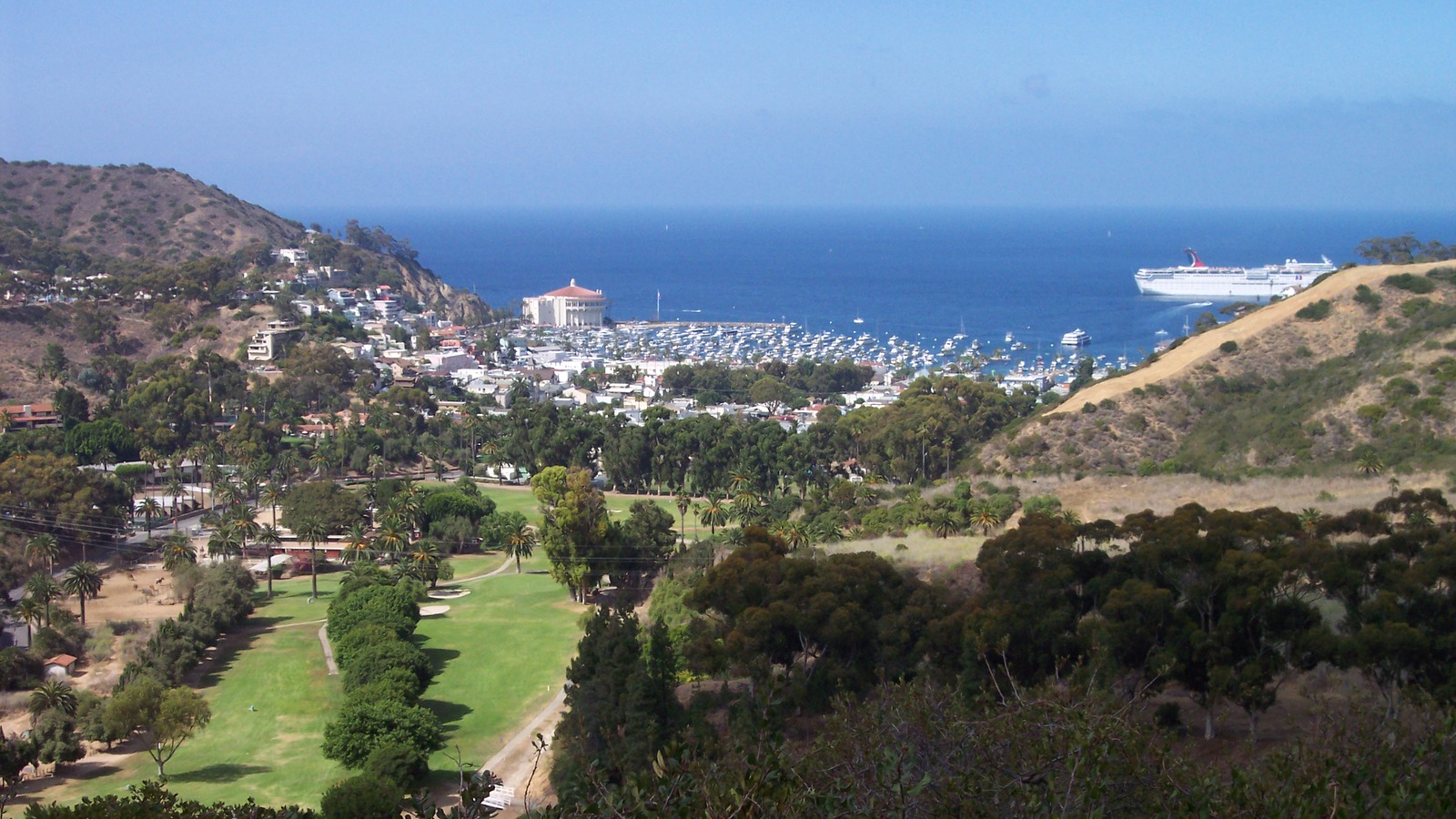 Hillside homes overlooking Avalon Harbor on Catalina Island