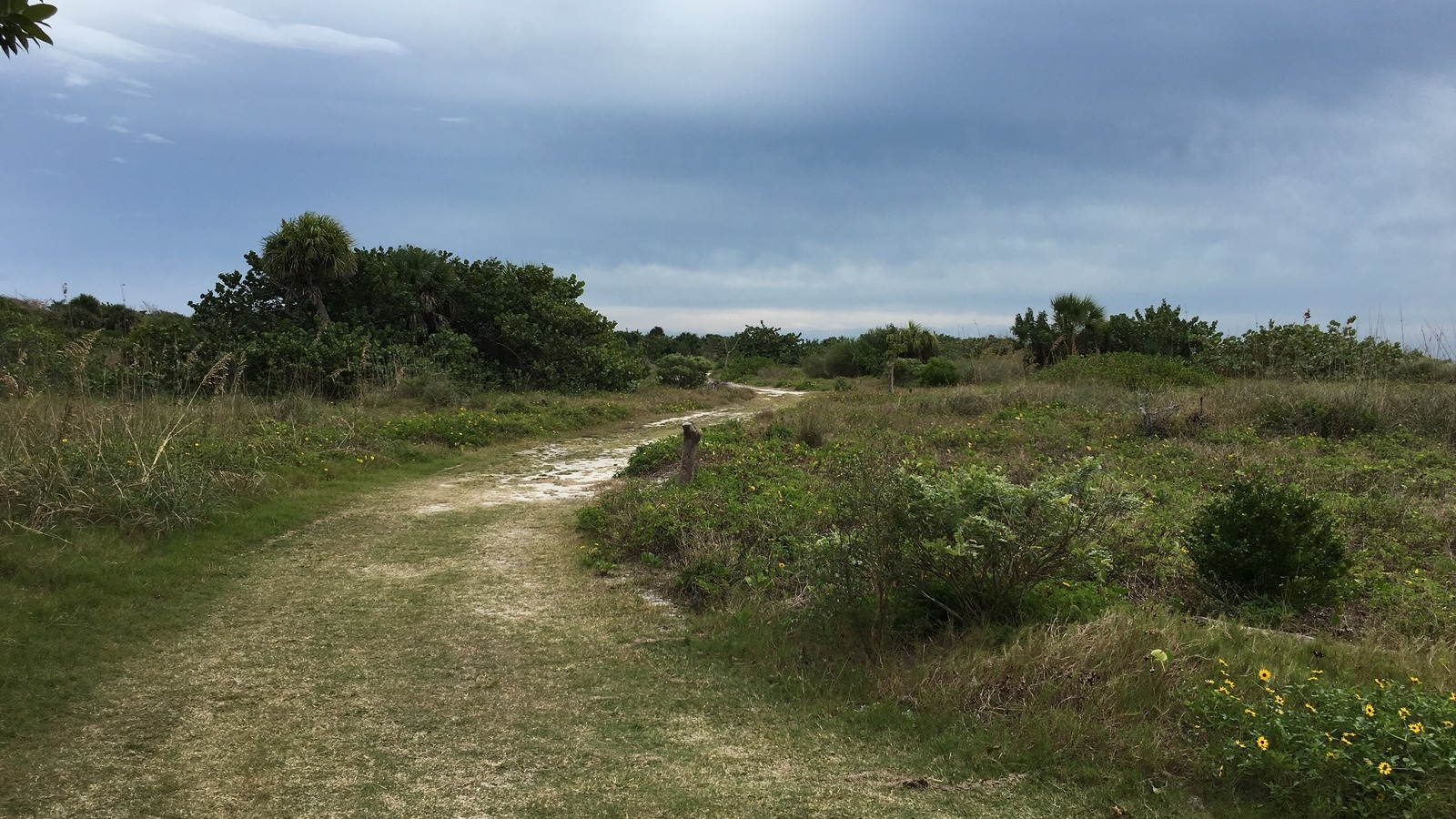 Wide shoreline at Bowman's Beach on Sanibel Island