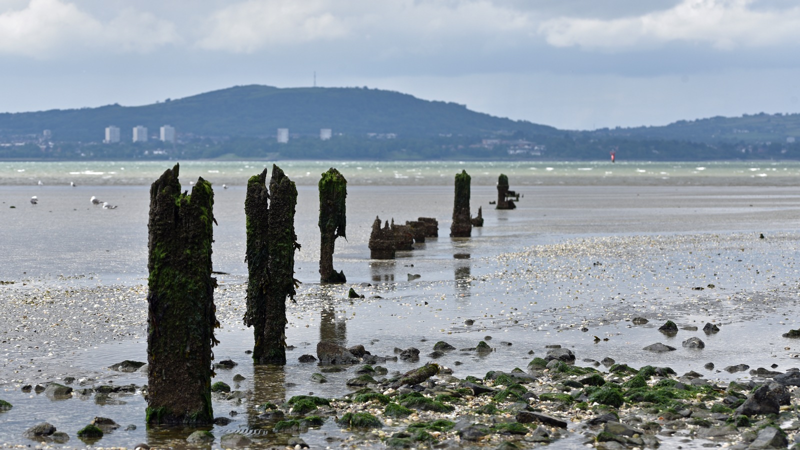 The shore of Belfast Lough viewed through the harbour estate in 2024
