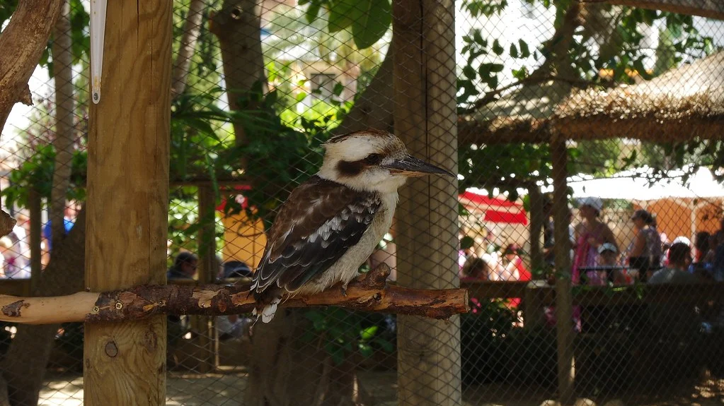 Bird aviary at Marineland Mallorca