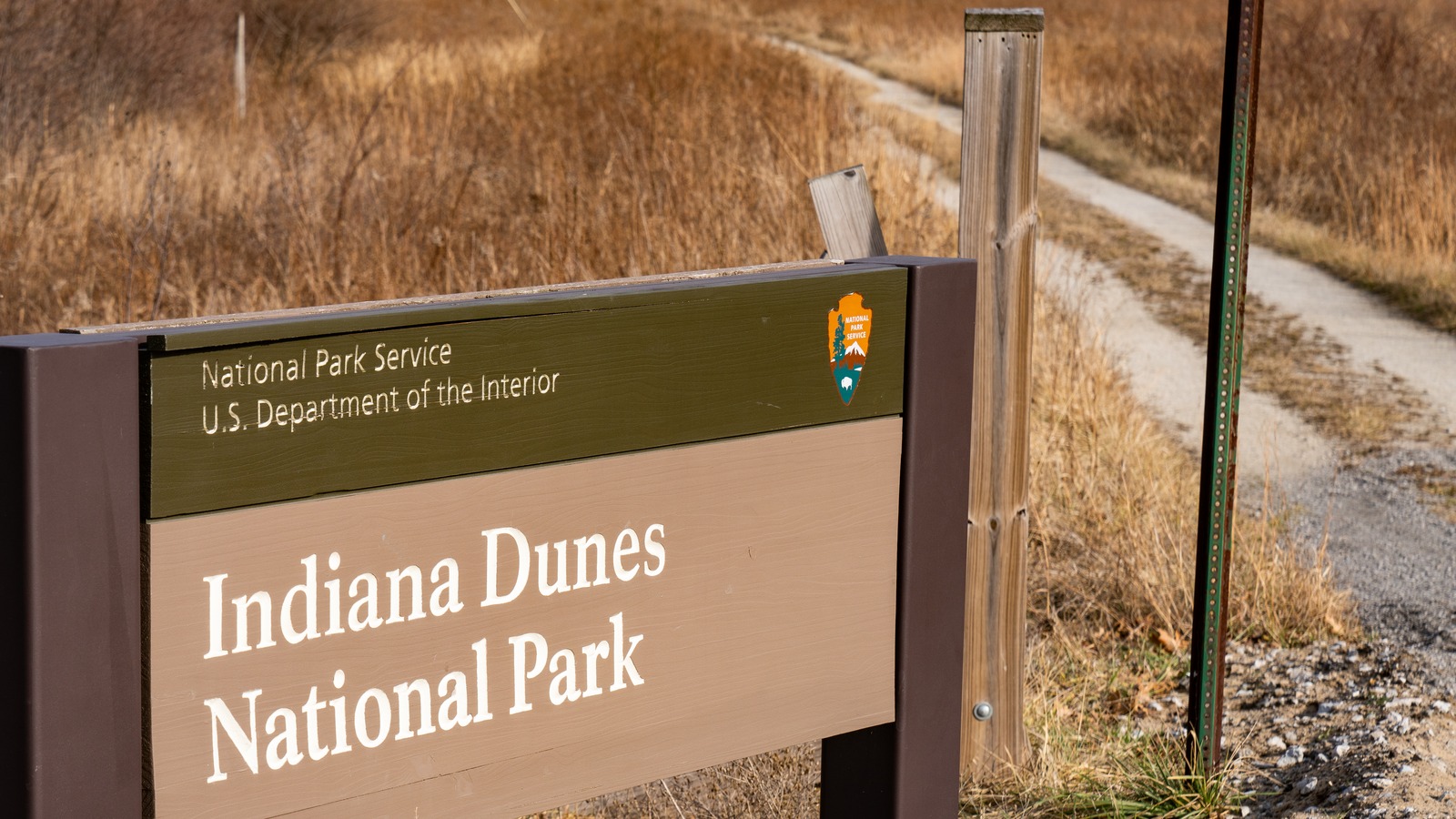 Wooded trail inside Indiana Dunes National Park under daylight