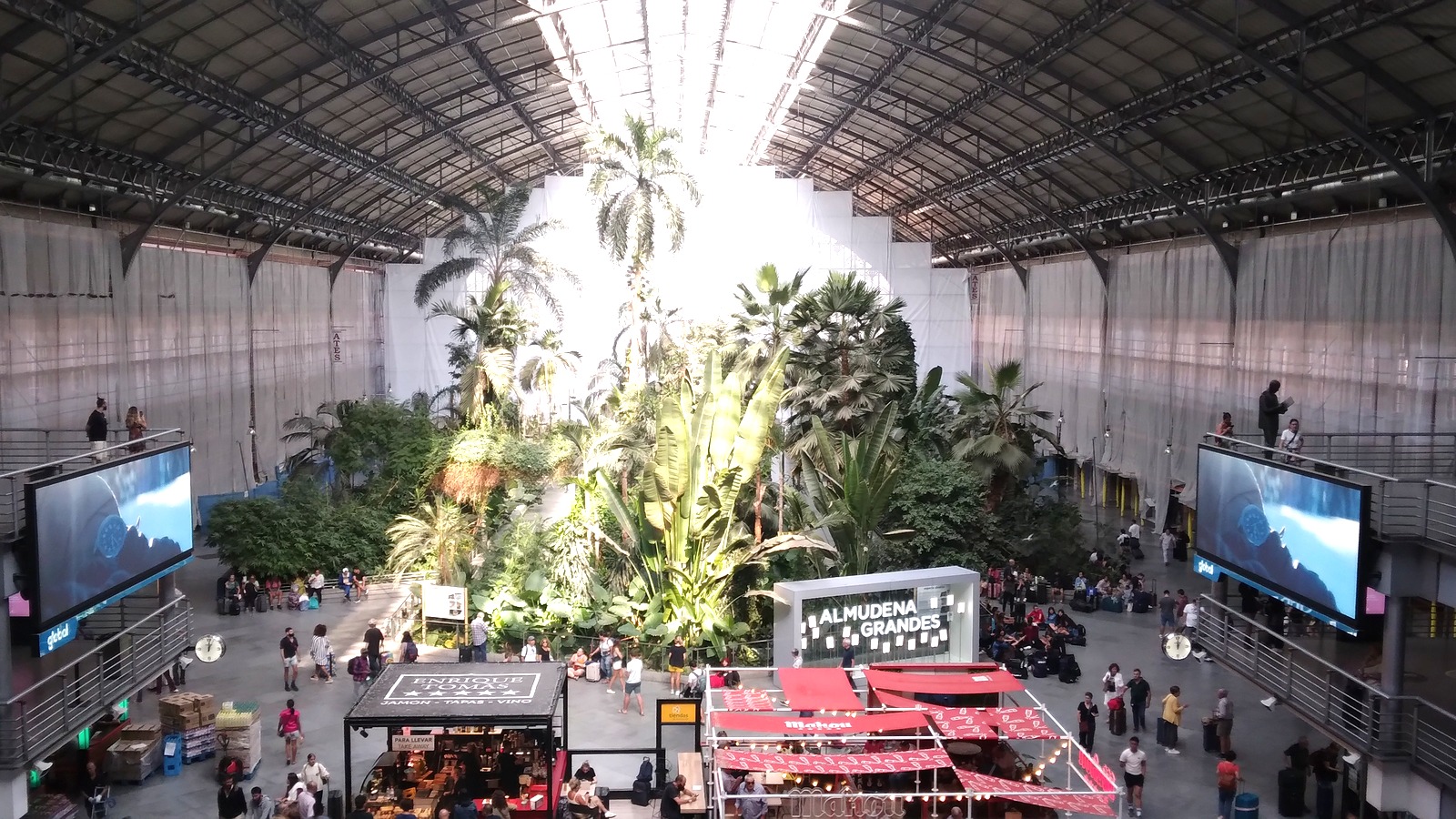 Madrid Atocha indoor garden photographed October9 2023, archival station context rather than the October2026 C5 works or platform
