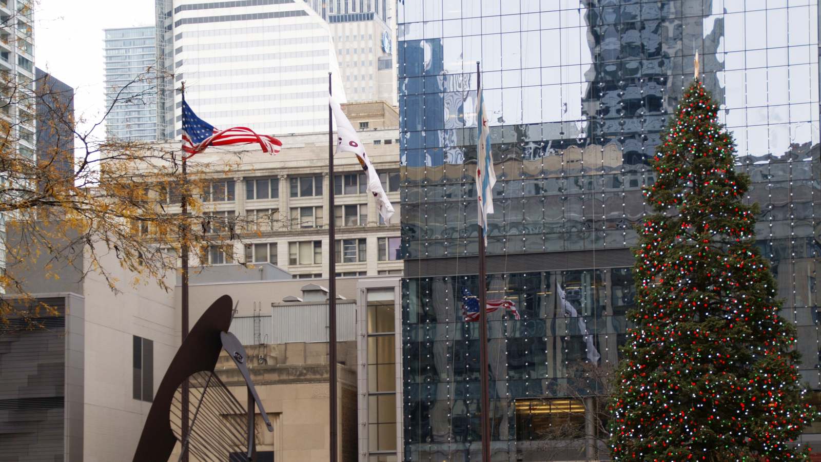 Daley Plaza in Chicago at holiday time, with a lit Christmas tree, flags and the Picasso sculpture against office towers.