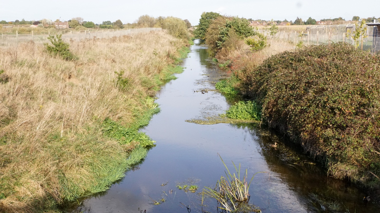 A river through Yorkshire Wildlife Park grounds on October 25, 2021, before the October 10, 2026 incident