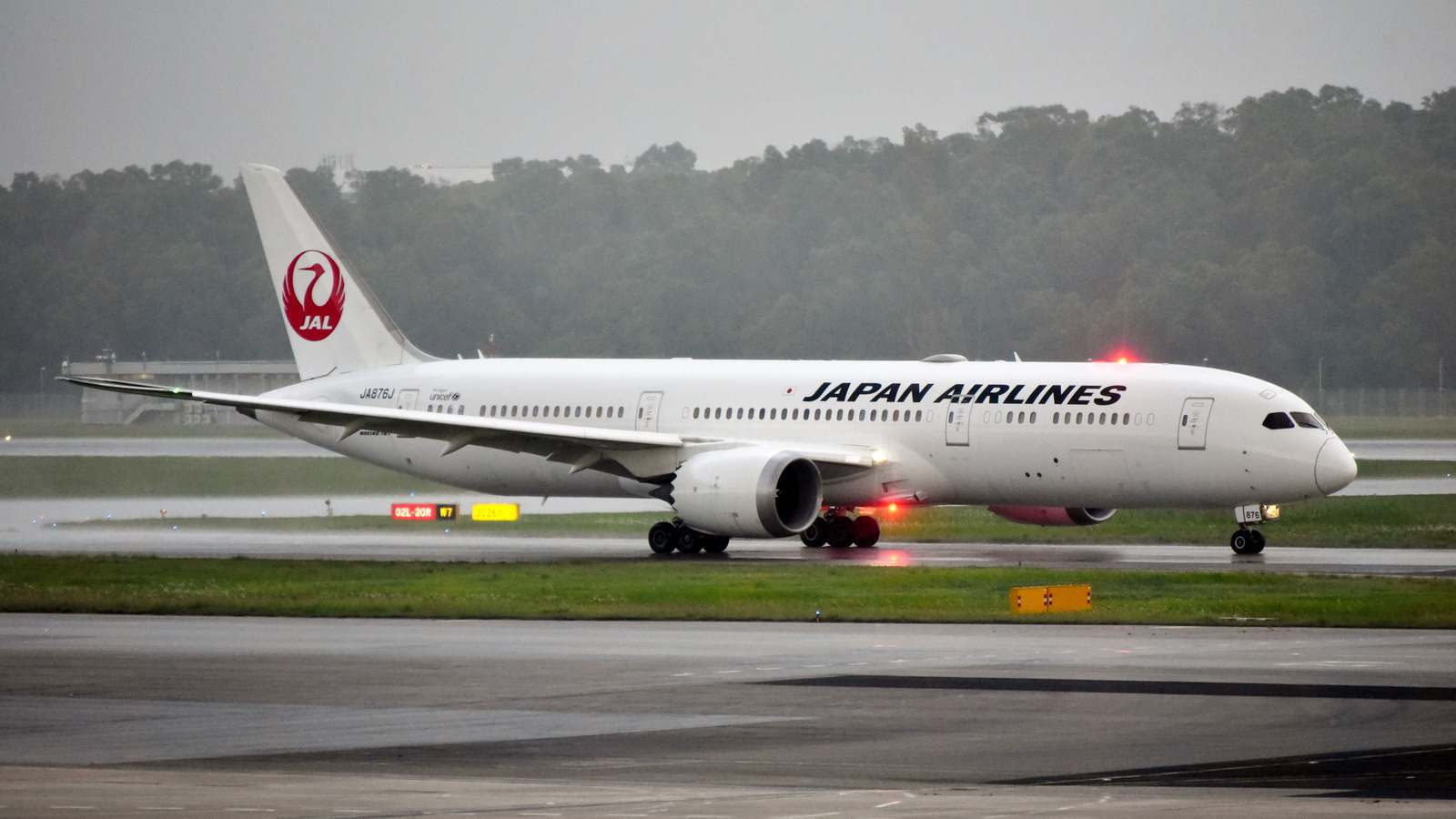 A Japan Airlines Boeing 787 with the red crane logo on its tail taxis on a wet runway with trees behind it.
