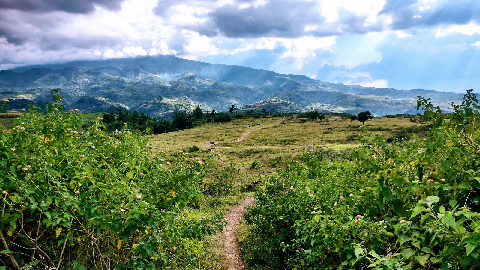 Archival view toward Kanlaon from Don Salvador Benedicto on March 23, 2023, with a foreground trail and cloudy mountain slopes