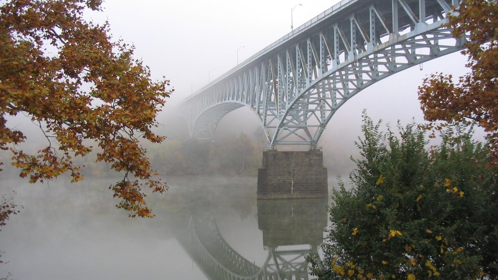 Homestead Grays Bridge steel arch spanning the Monongahela River in fog, seen from the riverbank with autumn trees in the foreground.