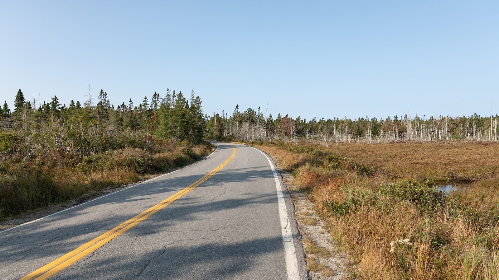 File photo of Seawall Road in Southwest Harbor, Maine, taken in September 2023, with the road curving past marsh and spruce under a clear sky