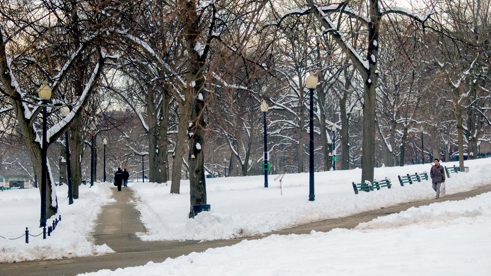 Snow covers Boston Common, with bare trees, lampposts and a cleared path where a few people walk in winter.