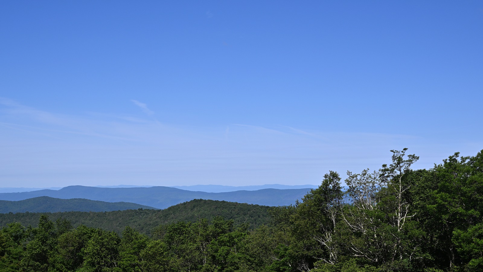 West-facing mountain ridges and forest from Naked Creek Overlook on Skyline Drive in Shenandoah National Park
