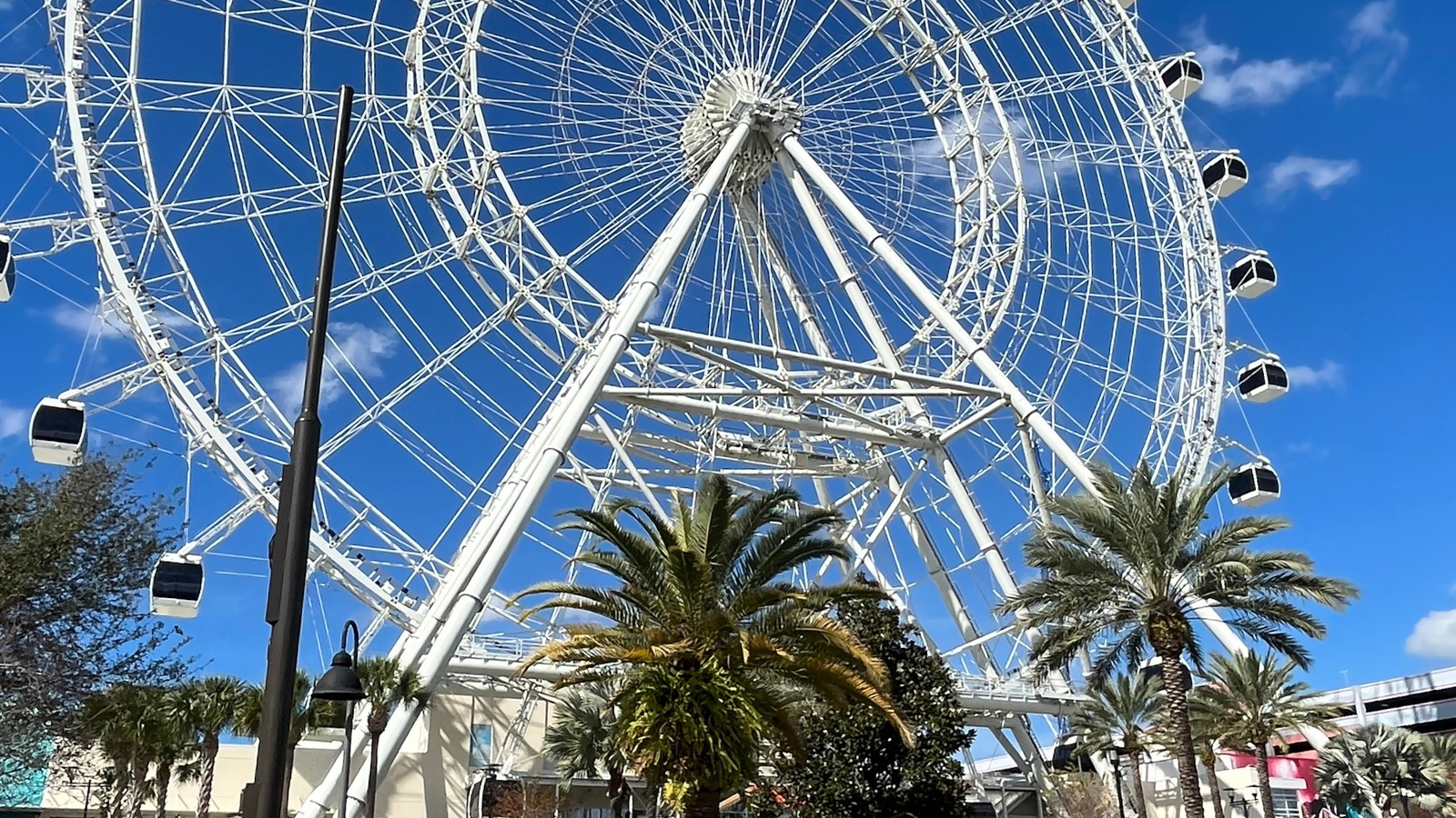 Orlando Eye observation wheel and palm trees at ICON Park in Orlando, Florida