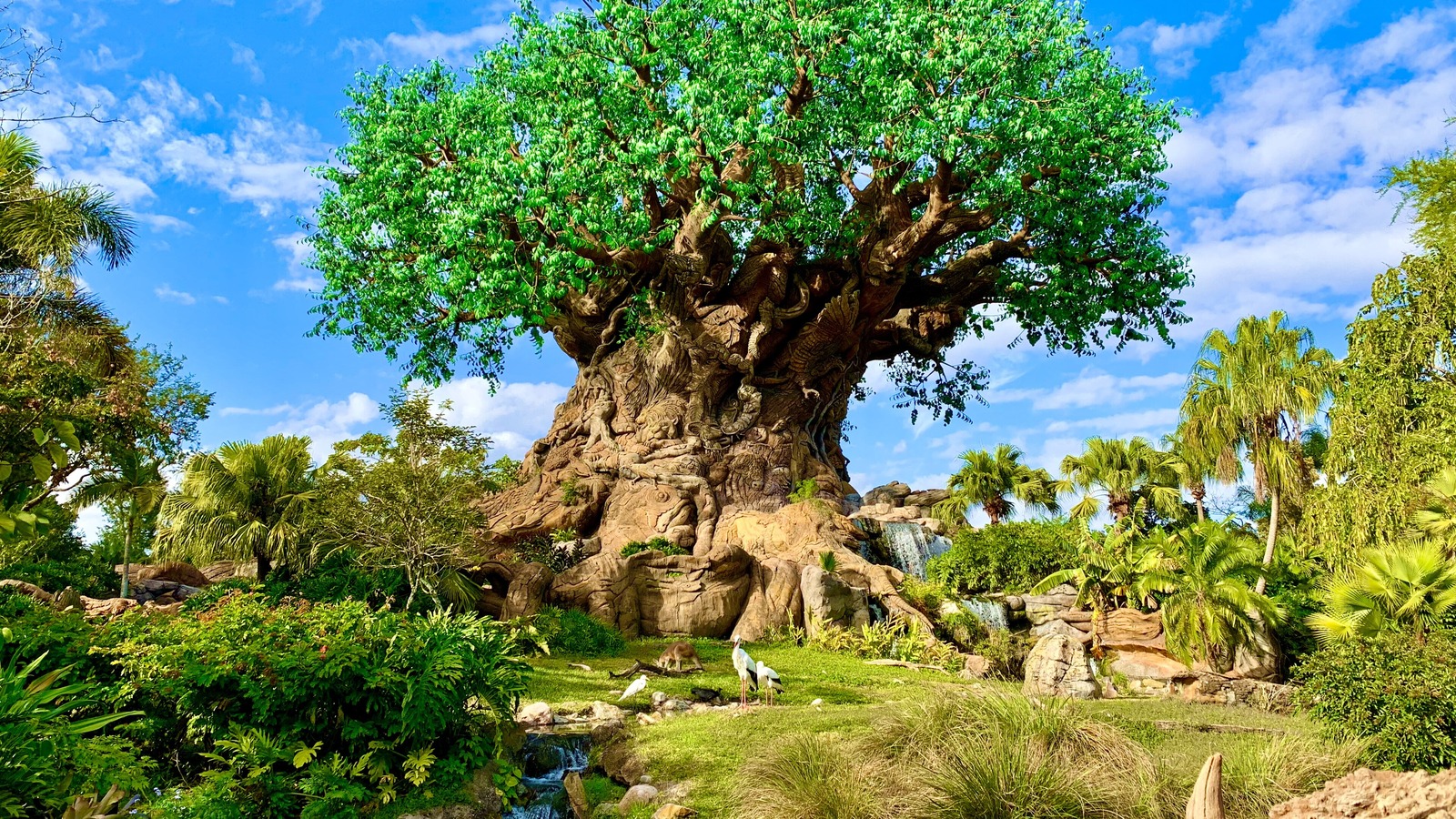 The Tree of Life at Disney's Animal Kingdom on Discovery Island under a blue sky