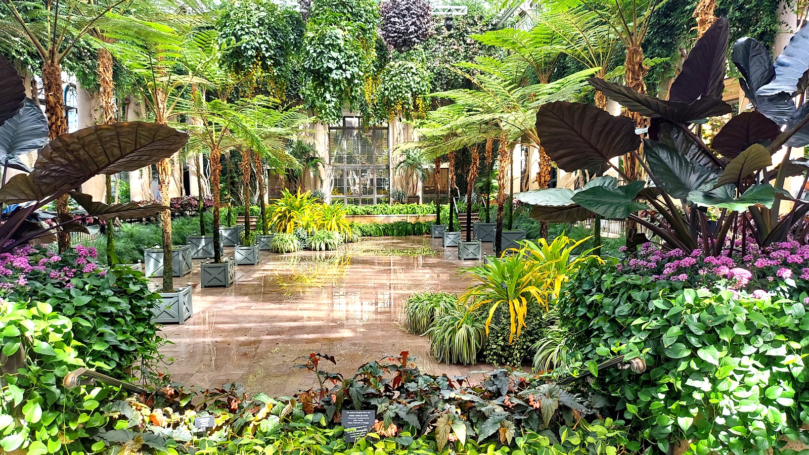 Longwood Gardens conservatory with planted beds and a glass roof, photographed August 12, 2024