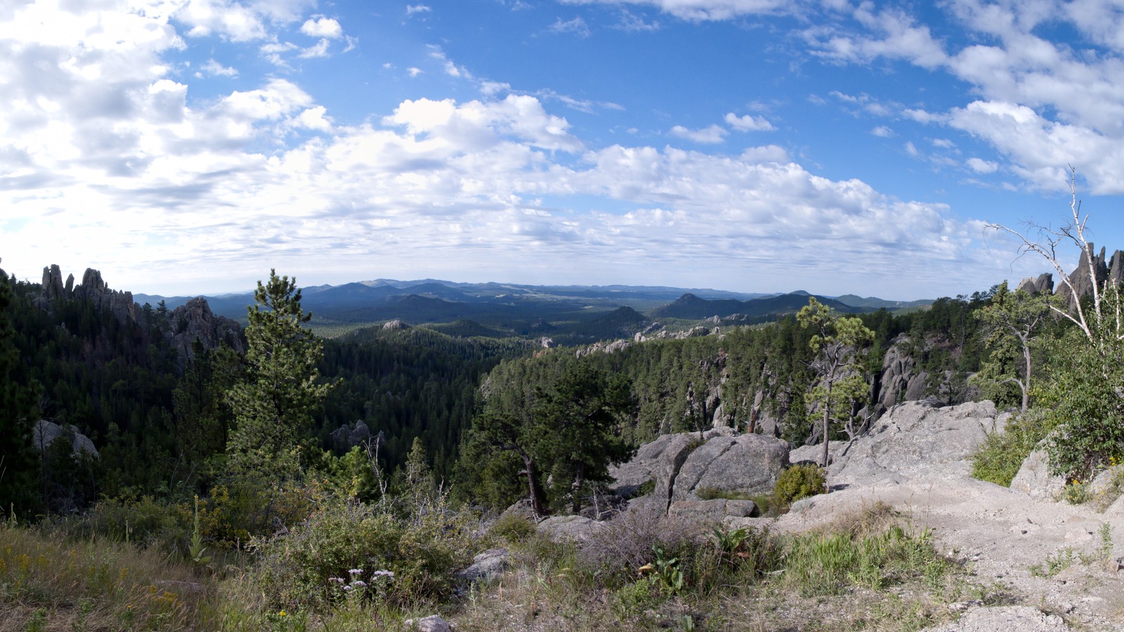Needles Highway overlook across granite spires and pine forest in the Black Hills of South Dakota