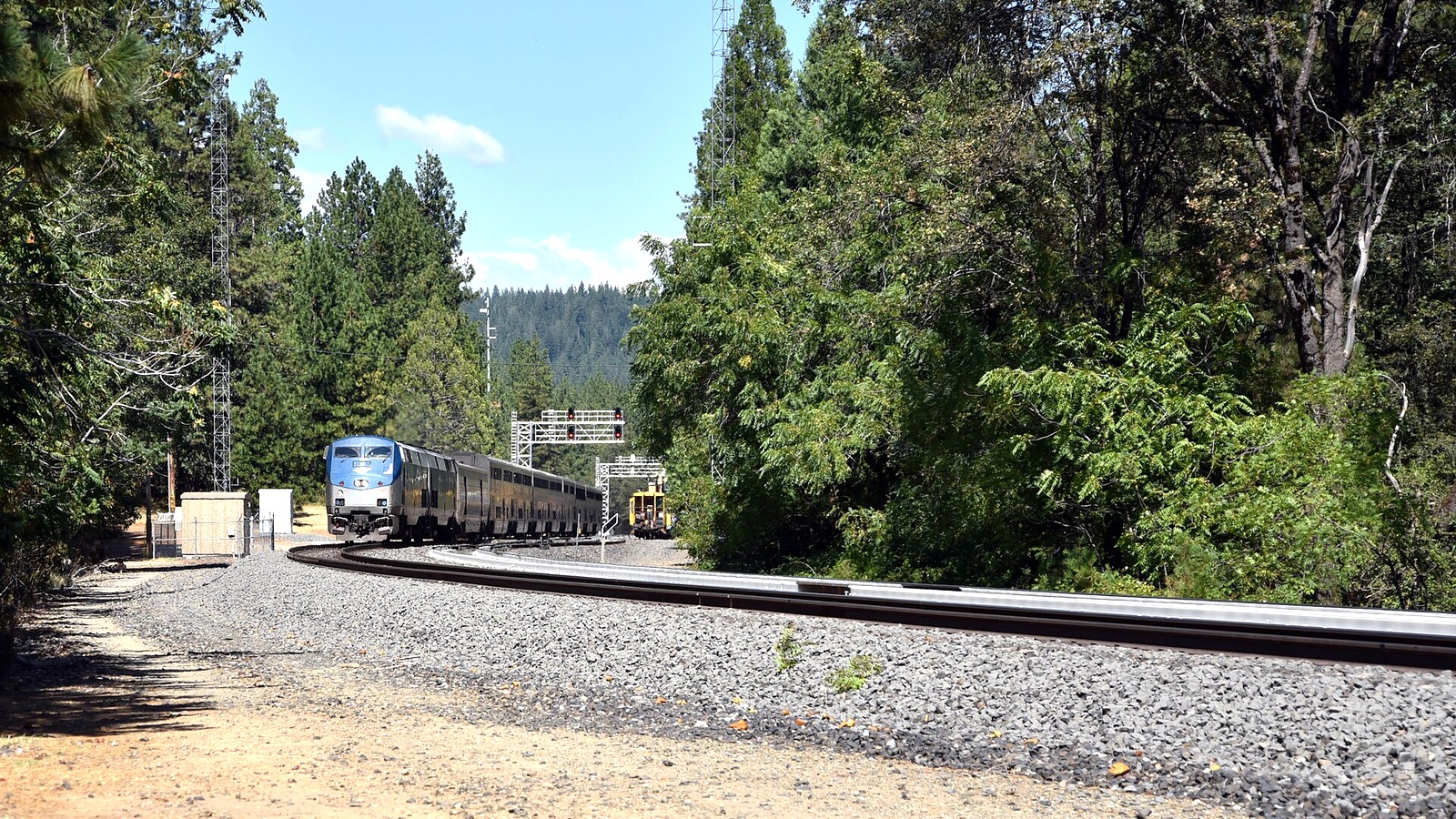An Amtrak California Zephyr passenger train curves through pine forest near Gold Run, California