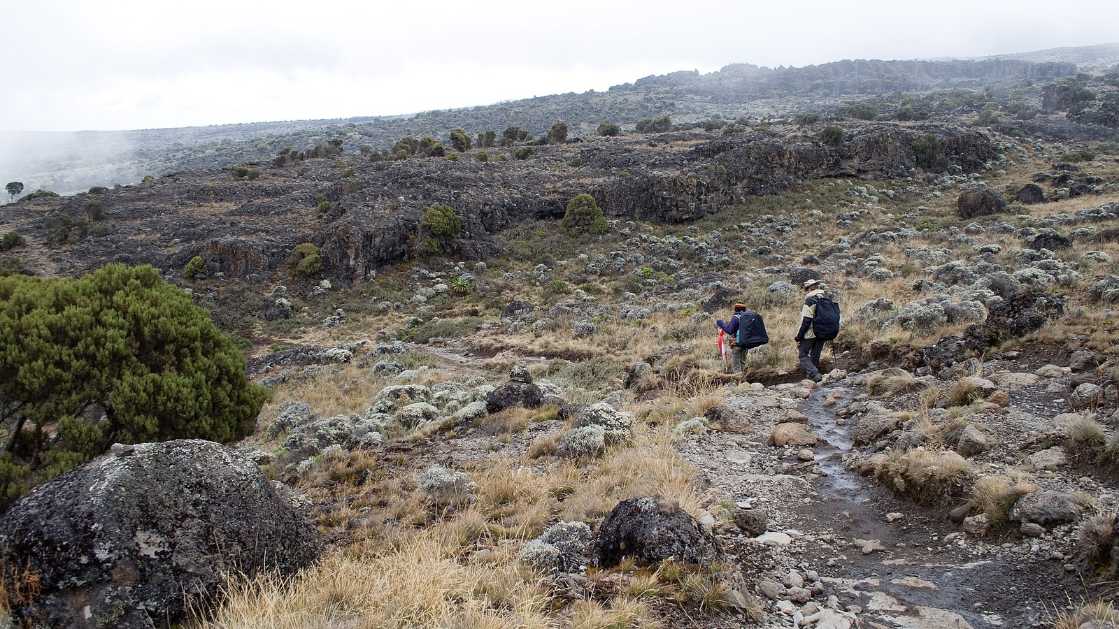 Two hikers on a trail across the Shira plateau on Mount Kilimanjaro in a November 2007 file photo